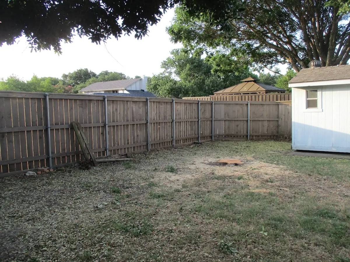 Cleared yard after professional tree removal in Rogersville